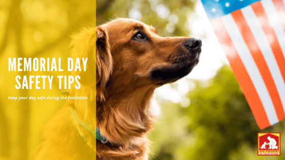 Memorial Day Safety | Dog Training In Your Home Columbia